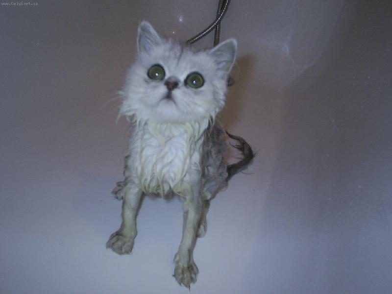 Foto: koupel-Zase m� koupou !!!!