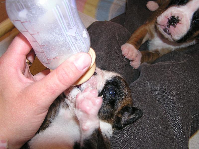 Foto: Jsem malej ,ale �ikovnej....