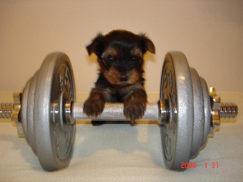 Foto: V pond�l� m�m prvn� tr�nink...