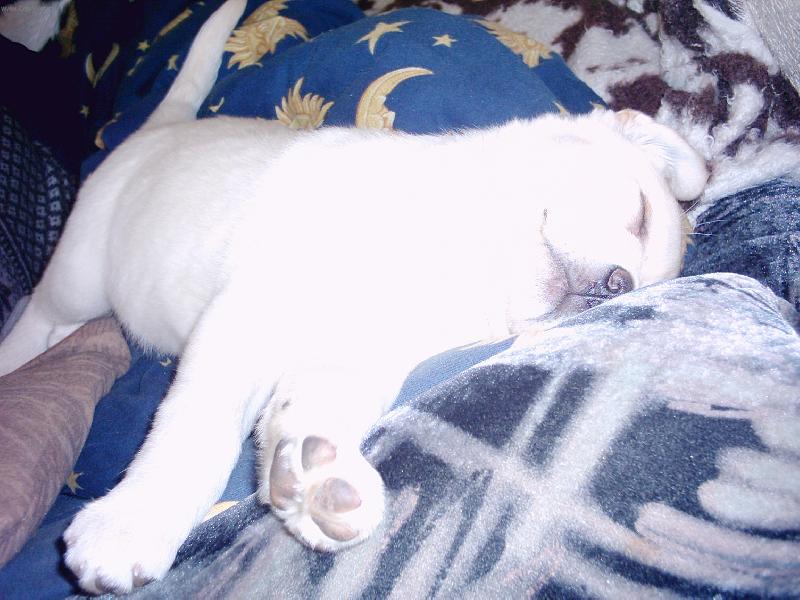 Foto: he� v posteli je to lep�����......