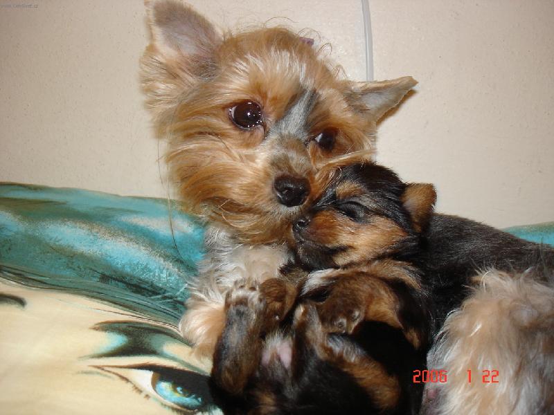 Foto: V�ude dob�e, u m�my nejl�p...