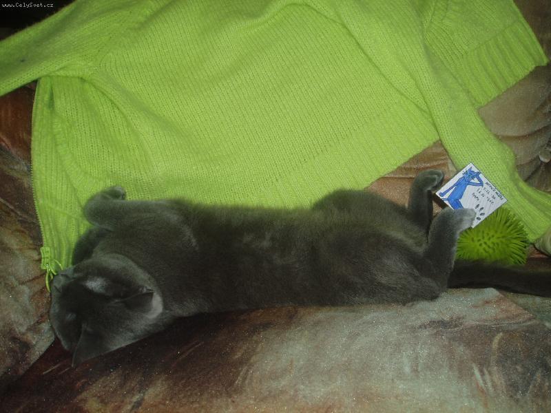 Foto: �iv� galerie:-)