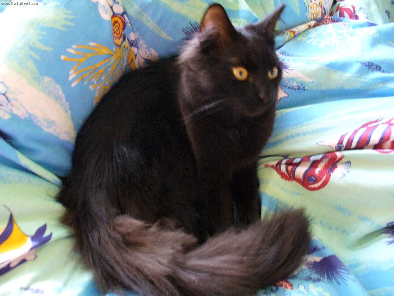 Foto: Mike�-Te� tu spink�m j�.