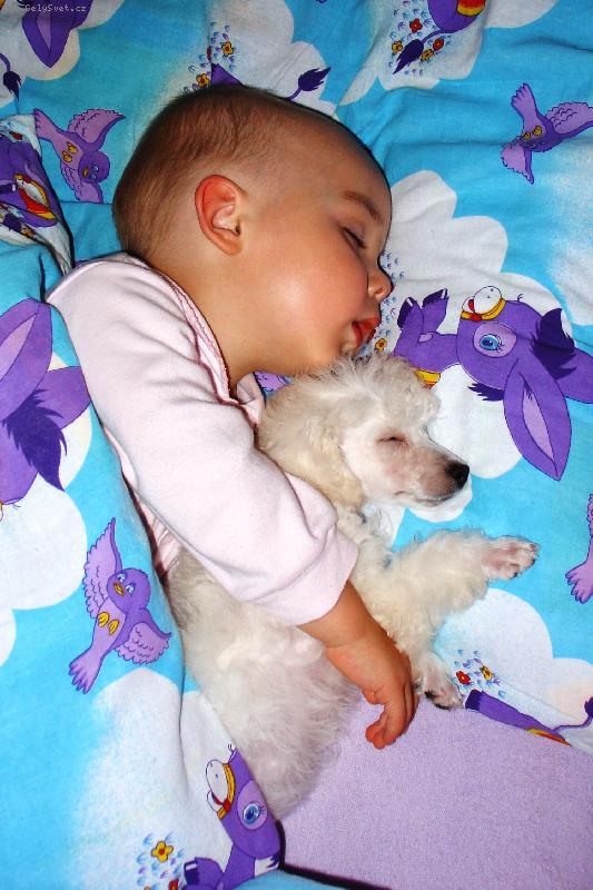 Foto: dva mal� kamar�di