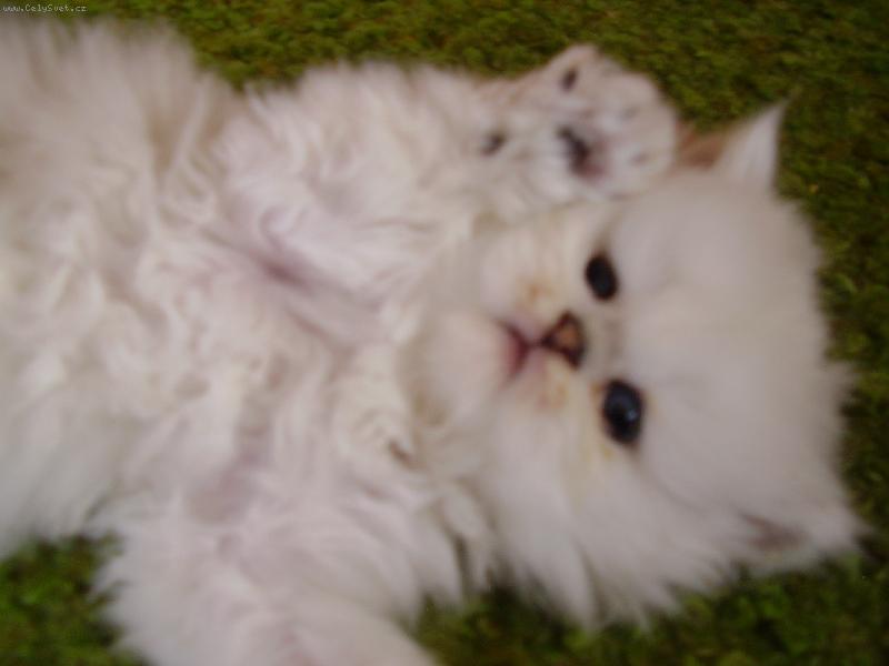 Foto: �moulinka-vzd�v�m se