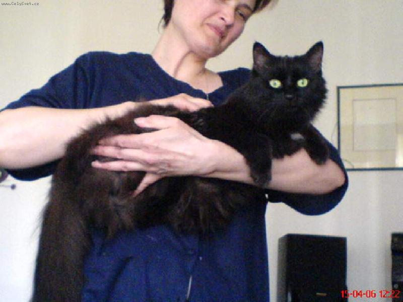 Foto: n� mazl��ek