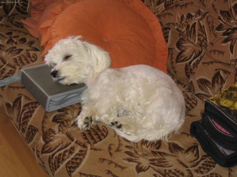 Foto: tot�ln� vy�erp�n� ze sledov�n� dvd-n� lacky je vy�erpan� a usnul i na pouzd�e na dvd