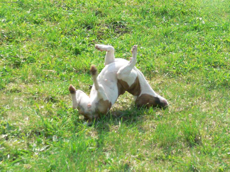 Foto: Jackie - akrobatka