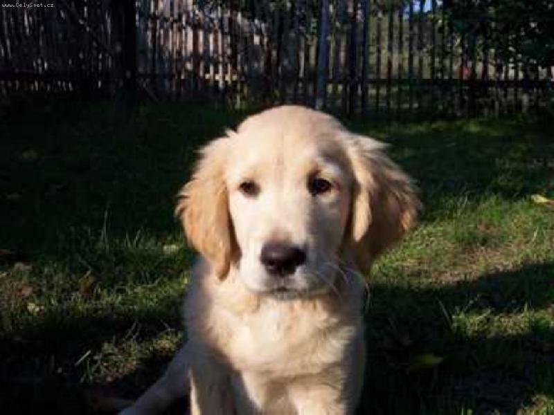 Foto: Sendy-Sla�ou�k�...