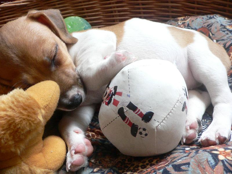 Foto: Jackie-kdy� mi bylo 7 t�dn�, v�t�inu �asu jsem prospala..