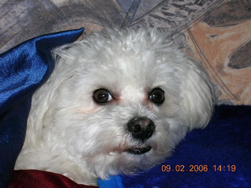 Foto: Neru�te m� od sp�nku....