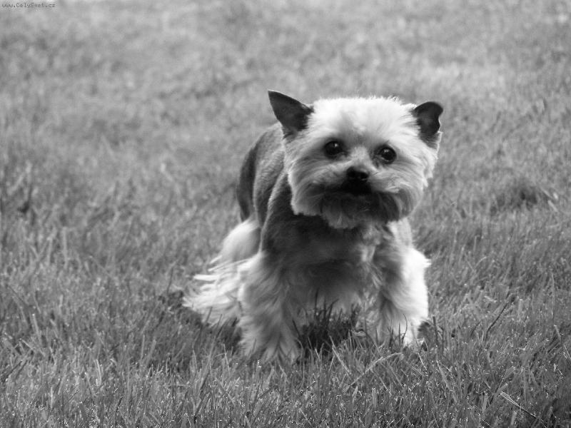 Foto: J� se boj�m...