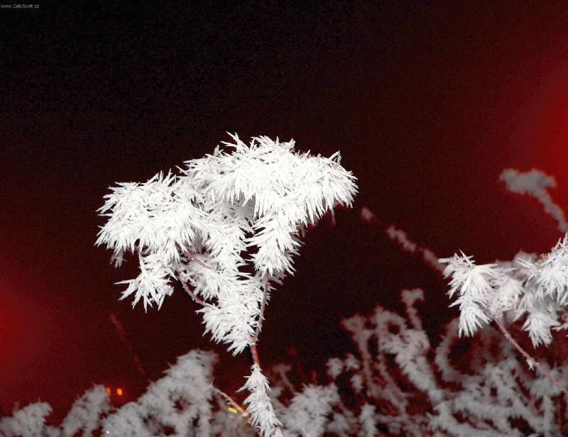 Foto: Zima a mr�z dovedou  �arovat-Panasonic FZ20