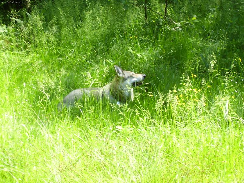 Foto: musim nachytat nejaky bronz,kde je to slun��ko?