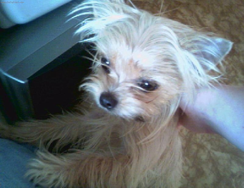 Foto: Anetka-Anetka v nov�m pel�ku