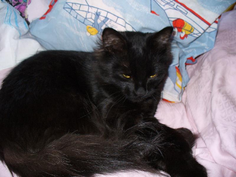 Foto: Mik���ek-...jsem unaven�, jdu sp�t.