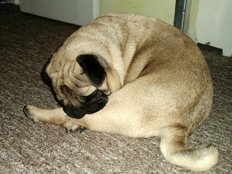 Foto: Eddy a Noha-J�ga....:)