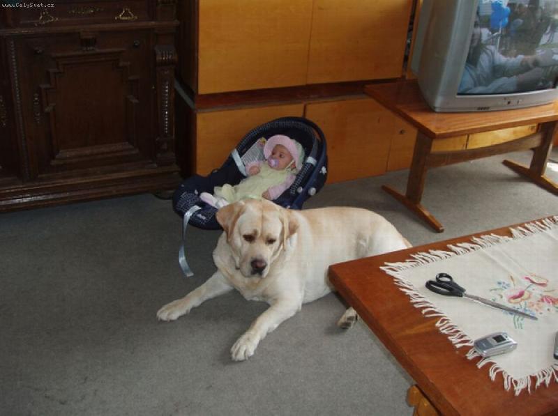 Foto: Takhle n�m Benik hl�d� Barunku