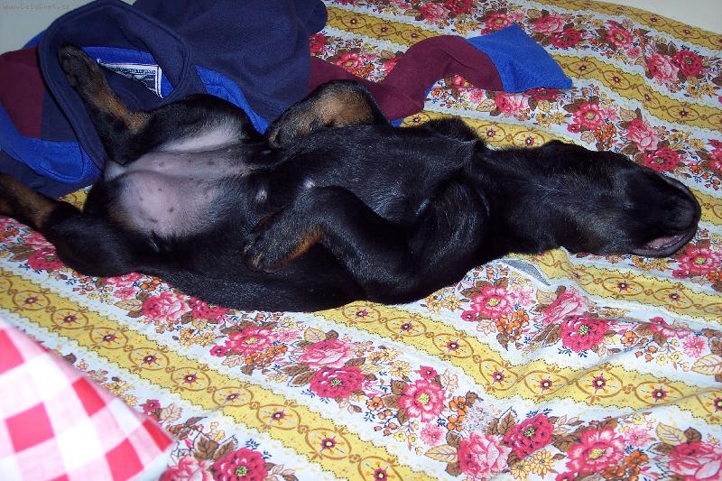 Foto: Takhle si to u��v�m