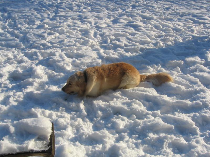 Foto: NA RYBN�KU-NECHAL SEM N�KDE NOHY...A SAKRA....MOJE NOH���