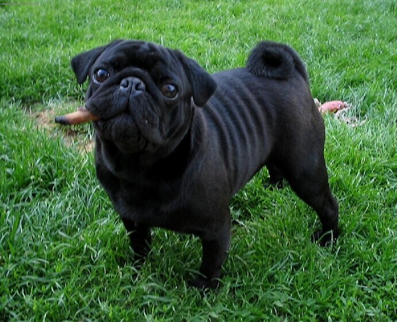 Foto: Maz�k Dillon-koukejte co jsem to na�el