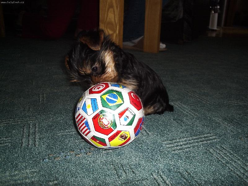 Foto: S�rinka-S�rinka a jej� m��ek :)