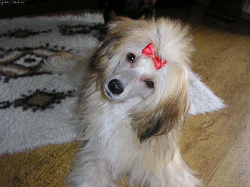 Foto: Hepinka-V� �e takov�mu pohledu neodol�me