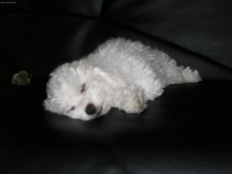 Foto: odpocinek-tu si rad hodim �lofika