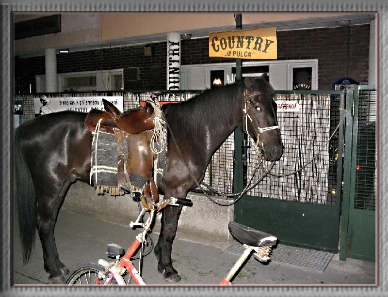 Foto: I TAK SE D� PARKOVAT.......-ZAPARKOVAN� K�� U COUNTRY BARU