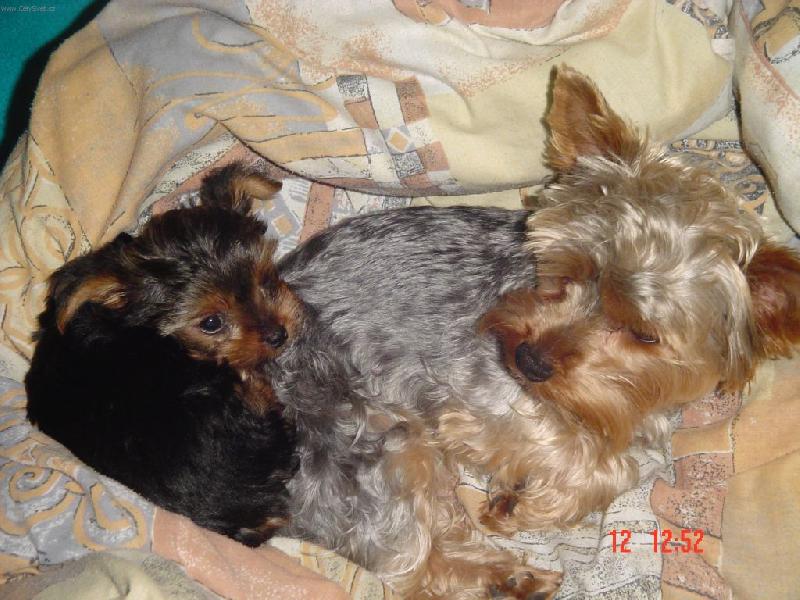 Foto: Mazl��ci-Jsme jak dva tuleni !