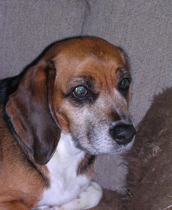 Foto: Na�e �ja-nejmlad�� �len dom�cnosti le��c� a bd�c� (n�hodou)