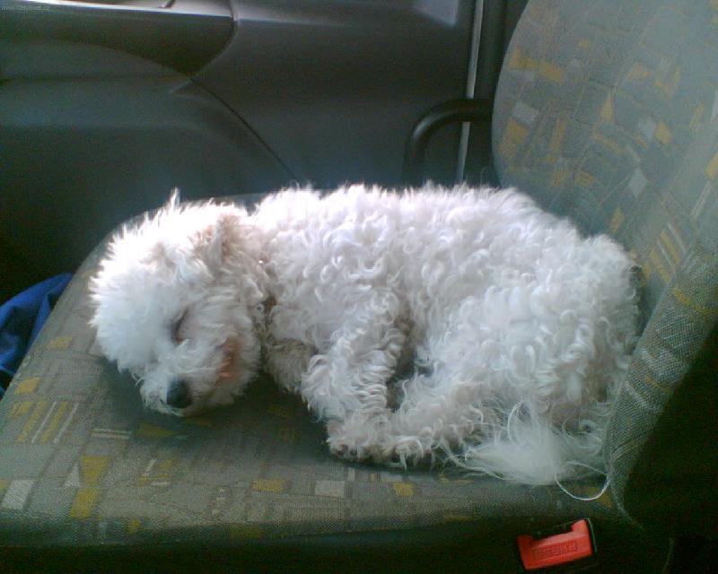 Foto: To je d�ina chodit do pr�ce!-Any jako z�vozn�ka v zam�stn�n� m�ho p��tele.