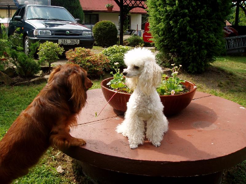 Foto: namlouv�n�