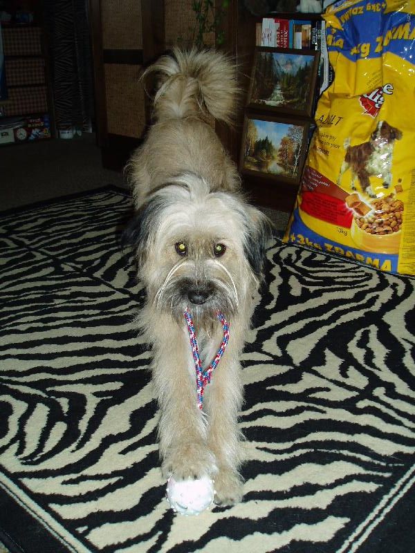 Foto: To je super m��ek!-Na�e Danynka si ale um� hr�t, frajerka ;o)