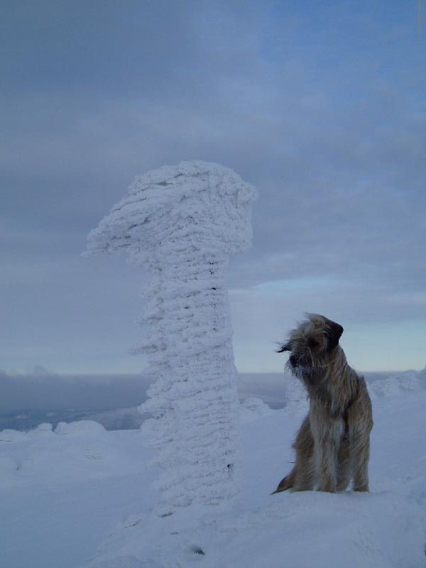 Foto: To je ale v�tr!-M�lem n�m tam p�imrzla.