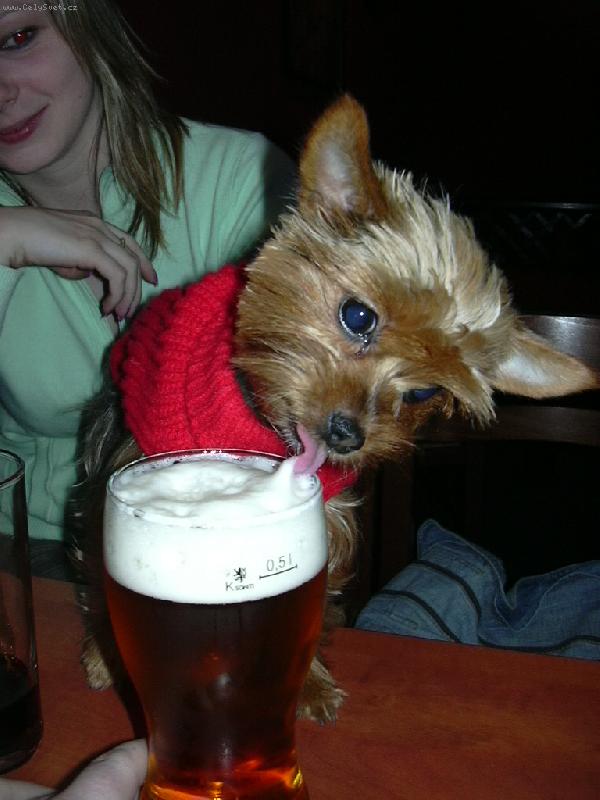 Foto: Velk� ��ze�-M�m velkou ��ze� a t� p�n� se nedalo odolat