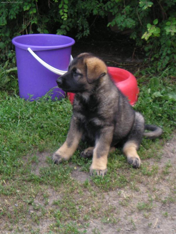 Foto: z�kout� zahrady-�t���tko v zahrad�