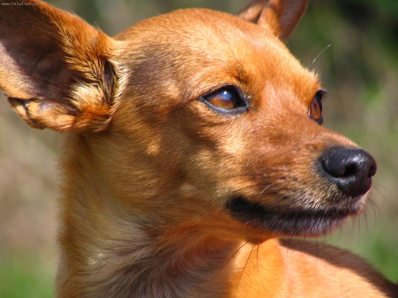 Foto: N�dhern� den-Sv�t je tak kr�sn�