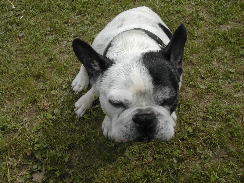 Foto: K�jik-K�jik