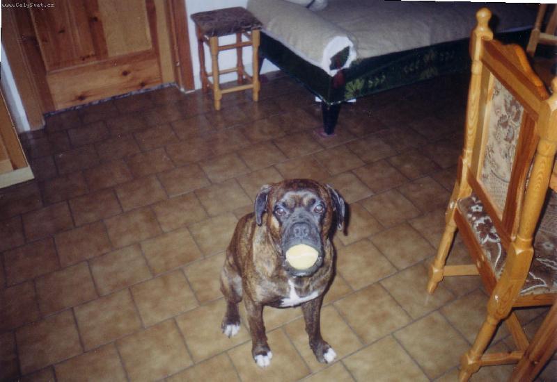 Foto: Arturek-Nikomu ho ned�m,to ho rad�i spolknu.