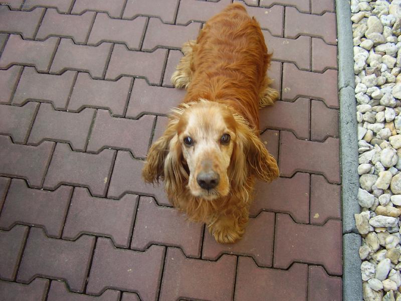 Foto: Peggy-takhle �ek� na mlsotku