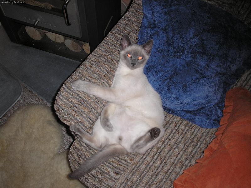 Foto: Kuba Kubikula-Pohodi�ka na gau�i