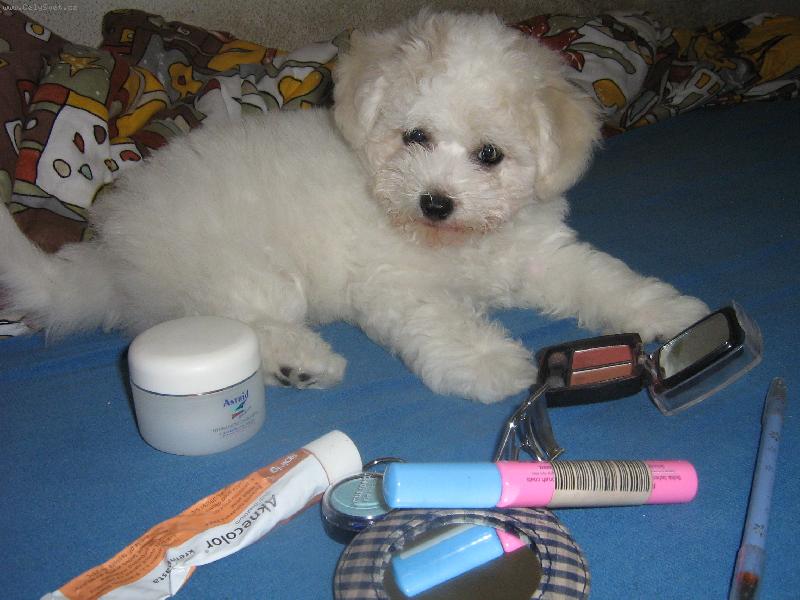 Foto: Kosmeti�ka-Jak� make-up zvol�te dnes, lady?