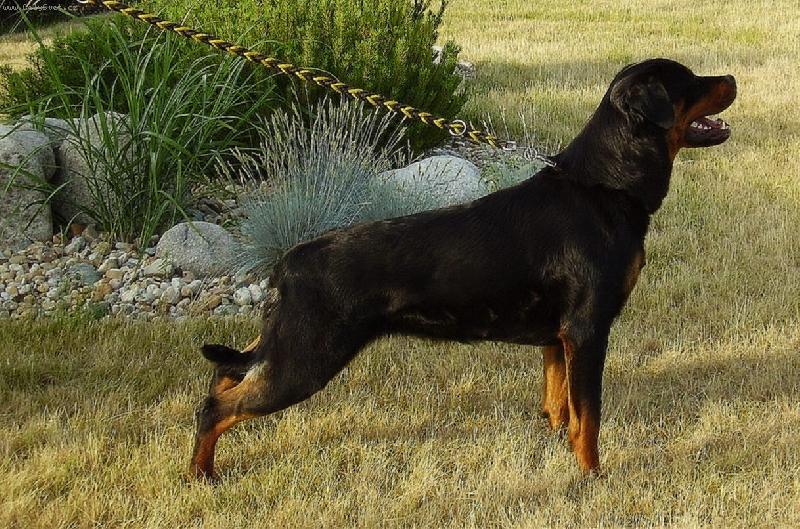 Foto: Eli�ka-na�e krasavice