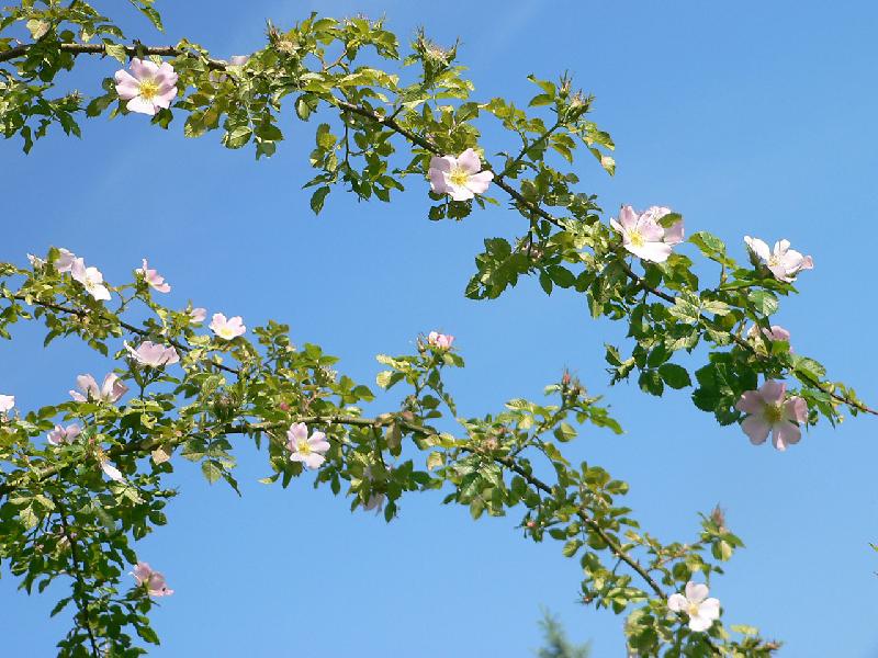 Foto: Plan� r��e