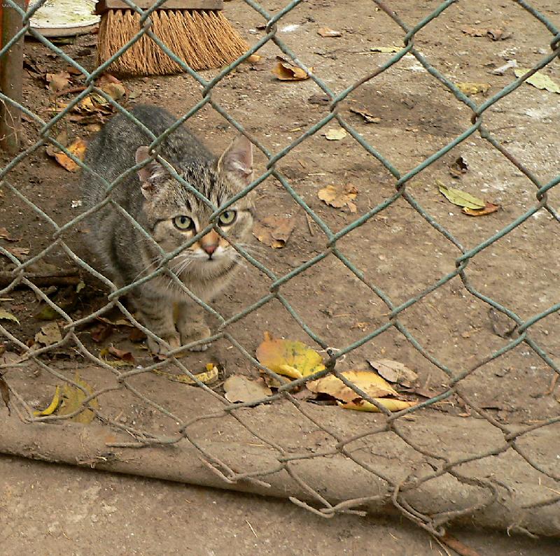 Foto: Kamufl�-dokonal� splynut� s okol�m