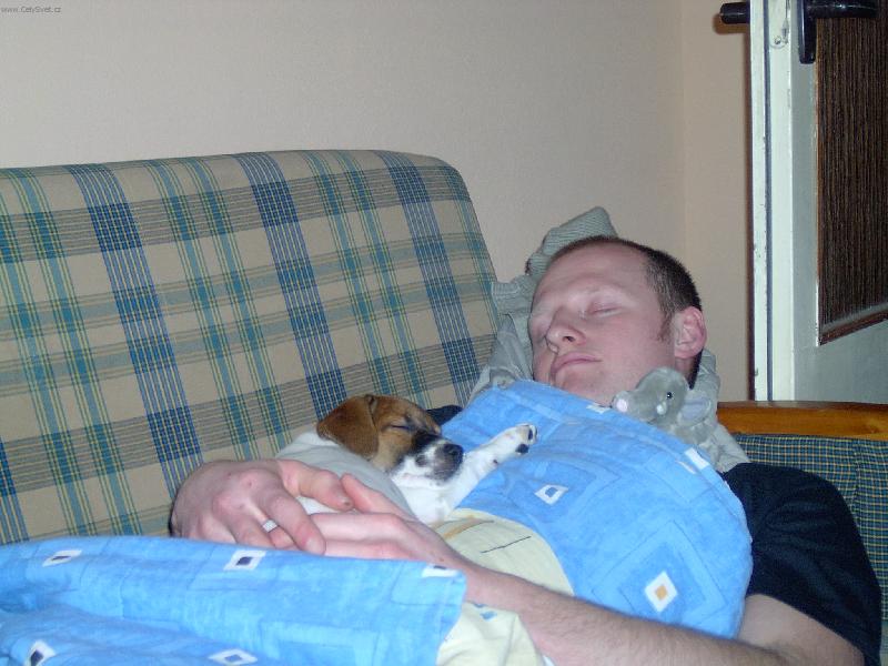 Foto: Suchozemsk� pira�a!-Akor�t dorazili z pr�ce ani se nestihli naj�st