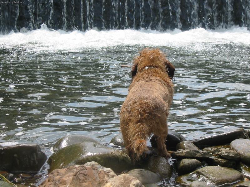 Foto: Kettynka u splavu-Do vody... mo�n� :)