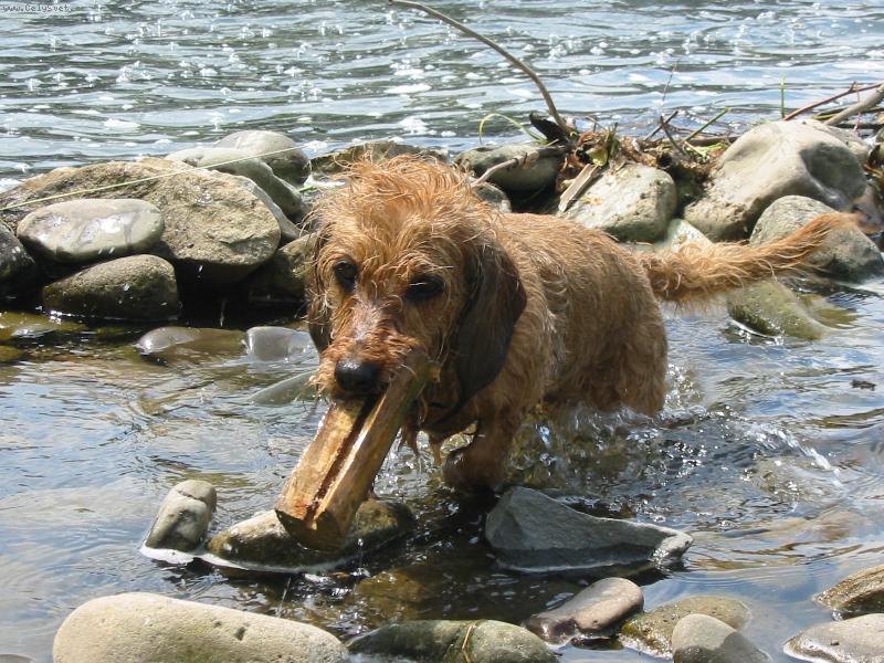 Foto: klacek vyloven-Kettynka se namo�ila cel�