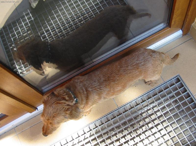 Foto: Zrcadlen�-Ketty u vchodov�ch dve��